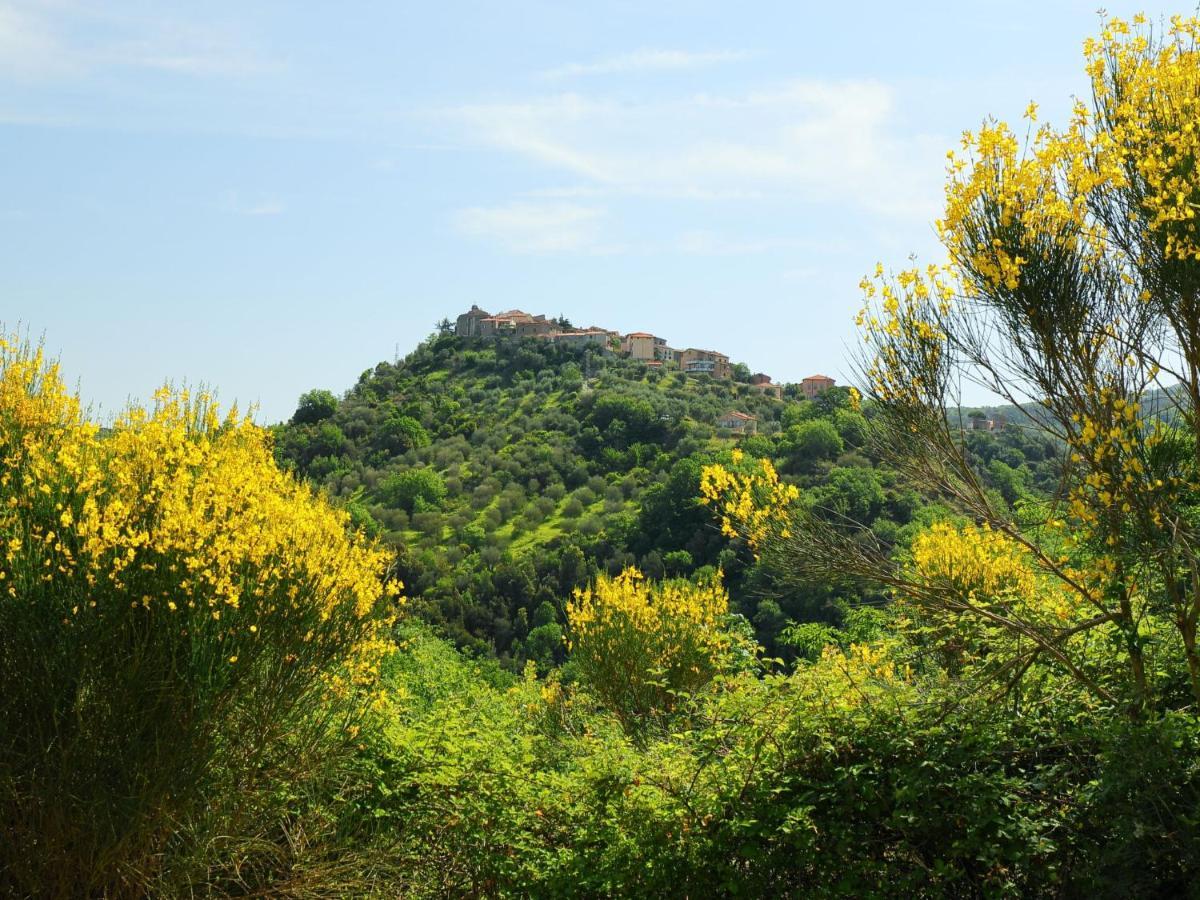 Holiday Home Poggio Velluto By Interhome Seggiano Exterior foto